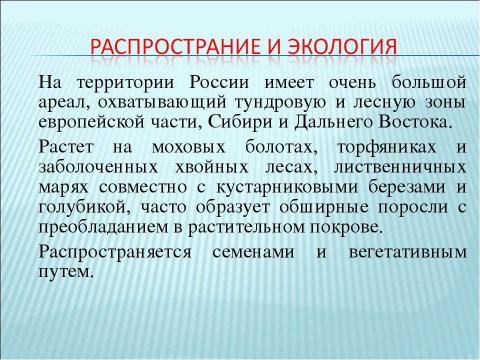 Презентация на тему "Багульник болотный" по биологии