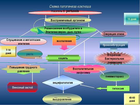 Презентация на тему "Коклюш" по медицине