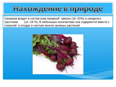 Презентация на тему "Сахароза 10 класс" по химии