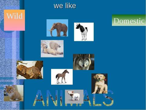 Презентация на тему "What do you know about animals?" по английскому языку