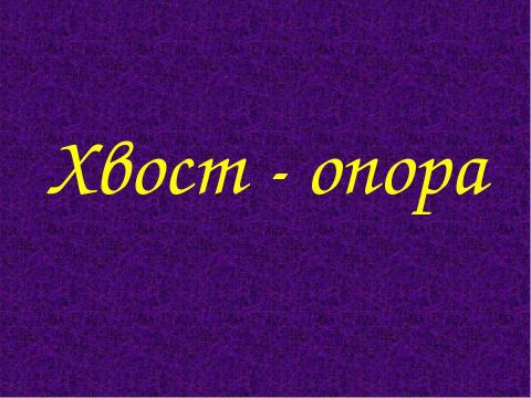 Презентация на тему "Зачем животным нужны хвосты? 5 класс" по окружающему миру