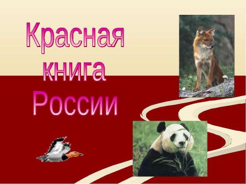 Презентация на тему "Красная книга России" по окружающему миру