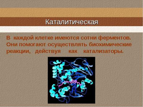 Презентация на тему "Свойства и функции белков" по биологии