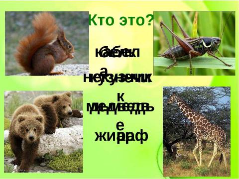 Презентация на тему "Какие бывают животные" по окружающему миру