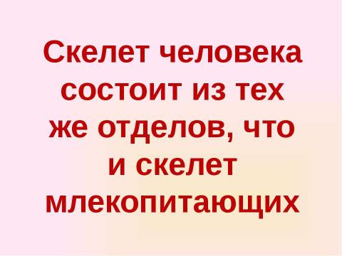 Презентация на тему "Скелет челоаека" по биологии