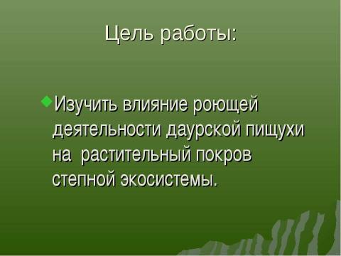 Презентация на тему "Влияние роющей деятельности пищухи на растительный покров степной экосистемы" по экологии