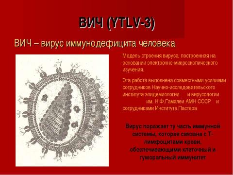 Презентация на тему "СПИД – чума XXI века" по медицине