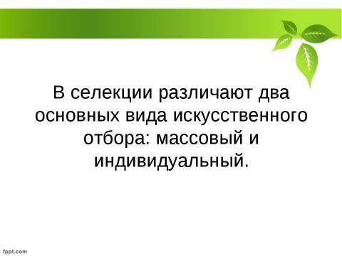 Презентация на тему "Селекция растений" по биологии