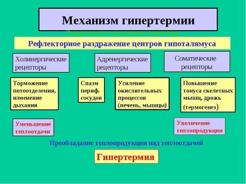 Презентация на тему "Гипертермический синдром" по медицине