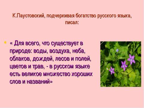 Презентация на тему "«Вселенная в алфавитном порядке» Дронова И.В." по русскому языку