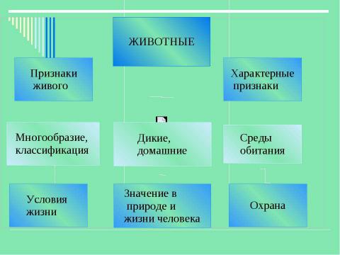 Презентация на тему "Животные" по детским презентациям