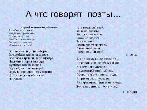 Презентация на тему "Писатели о птицах" по обществознанию