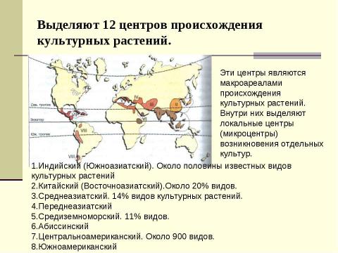 Презентация на тему "Центры происхождения культурных растений" по биологии