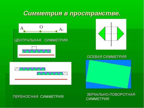 Презентация на тему "Симметрия в живой природе 7 класс" по биологии