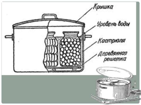 Презентация на тему "Консервирование овощей и фруктов. Пастеризация." по технологии