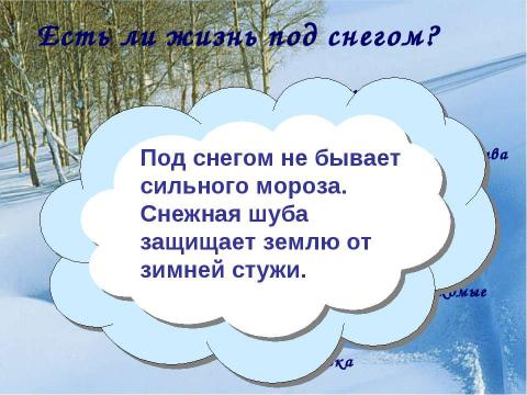 Презентация на тему "Как зимуют травы, кустарники и деревья" по окружающему миру