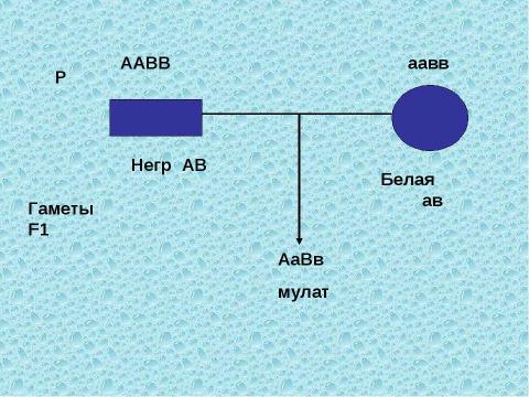 Презентация на тему "Исследование генеалогического древа рода А.С.Пушкина" по обществознанию