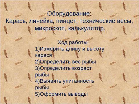 Презентация на тему "Исследование карася" по биологии