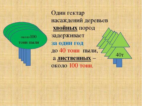 Презентация на тему "Вырубка деревьев - большая проблема маленького города" по экологии