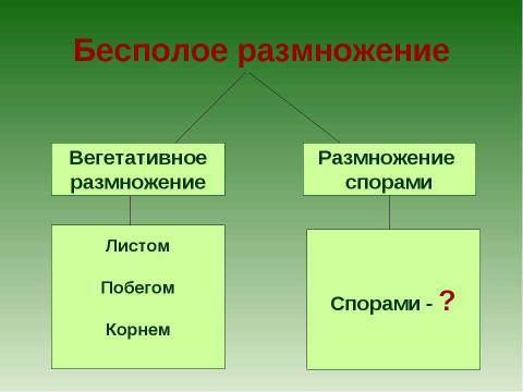 Презентация на тему "Растения - оплодотворение и размножение" по биологии