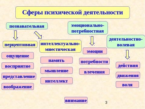 Презентация на тему "Психология двигательно-волевой сферы психической деятельности" по обществознанию