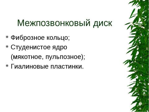 Презентация на тему "Вертеброгенные дорсопатии. Туннельные синдромы" по медицине