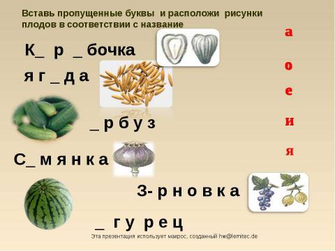 Презентация на тему "Плоды" по биологии