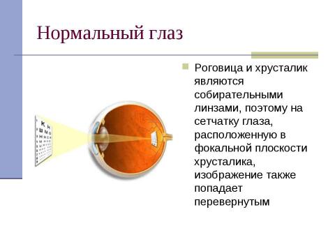 Презентация на тему "Глаз как оптическая система (8 класс)" по физике