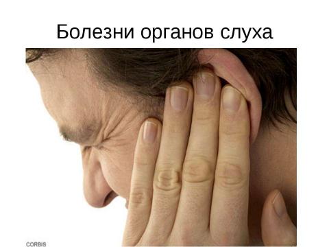 Презентация на тему "Ухо - это орган слуха" по биологии