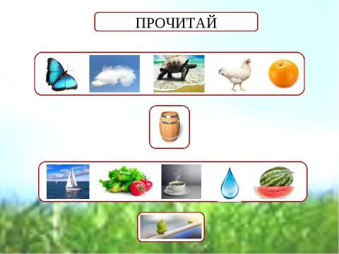 Презентация на тему "Дифференциация парных согласных Б–П" по русскому языку