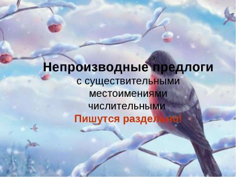 Презентация на тему "Правописание производных предлогов" по русскому языку