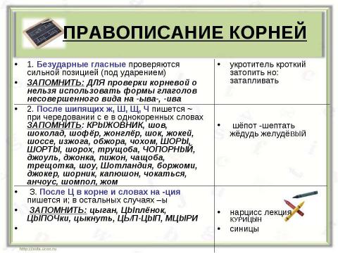 Презентация на тему "Правописание корня слова" по русскому языку