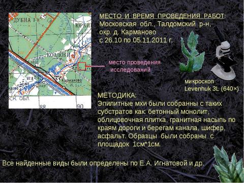 Презентация на тему "Экологическое особенности распределения эпилитных мхов в окресностях темповского лесничества" по экологии