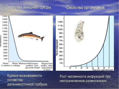 Презентация на тему "Чарльз Дарвин. Основные положения теории происхождения видов" по биологии