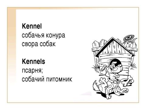 Презентация на тему "Differentiated nouns" по английскому языку