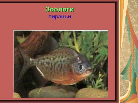 Презентация на тему "Открытие Нового Света. Америка" по начальной школе