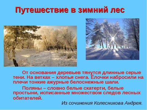 Презентация на тему "Урок - путешествие в зимний лес" по русскому языку