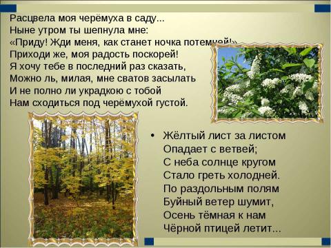 Презентация на тему "Спиридон Дмитриевич Дрожжин" по литературе