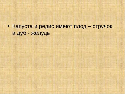 Презентация на тему "Цветок. Плод. Семя" по биологии