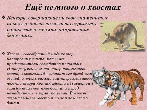 Презентация на тему "Зачем животным нужны хвосты? 5 класс" по окружающему миру