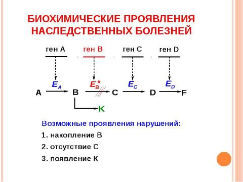 Презентация на тему "Основы молекулярной генетики" по биологии