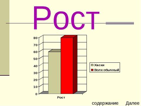 Презентация на тему "Хаски" по биологии