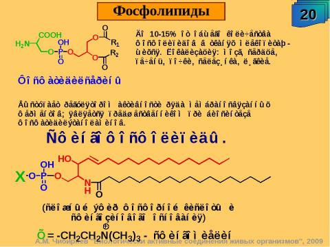 Презентация на тему "Биологически активные соединения живых организмов" по биологии