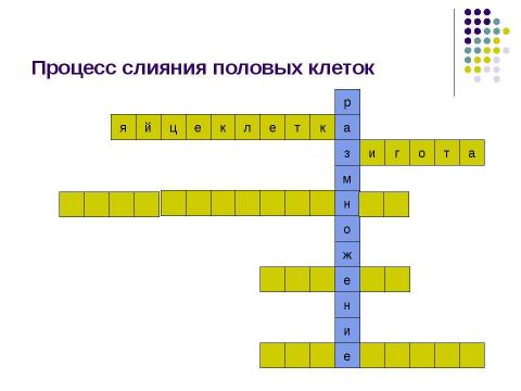 Презентация на тему "Внутриутробное развитие человека" по биологии