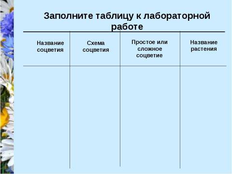 Презентация на тему "Соцветия" по биологии