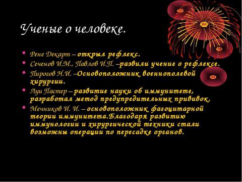 Презентация на тему "Эволюция развития человека" по биологии