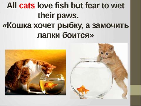 Презентация на тему "Кошки в истории, обществе, в английской и русском языках и литературе разных стран" по литературе