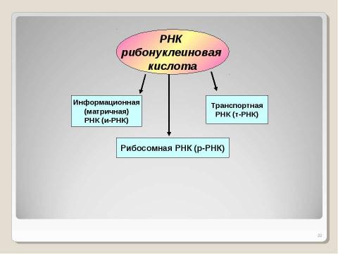 Презентация на тему "Химическая организация клетки. Неорганические вещества" по химии