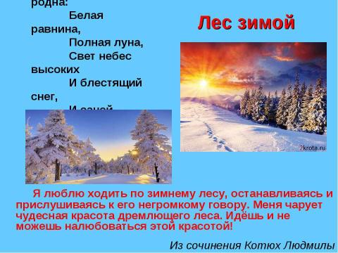 Презентация на тему "Урок - путешествие в зимний лес" по русскому языку