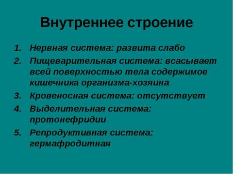 Презентация на тему "Тип плоские черви" по биологии